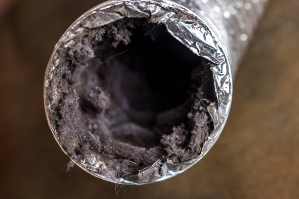 Best Professional Duct Cleaning Services  in Haynesville, LA