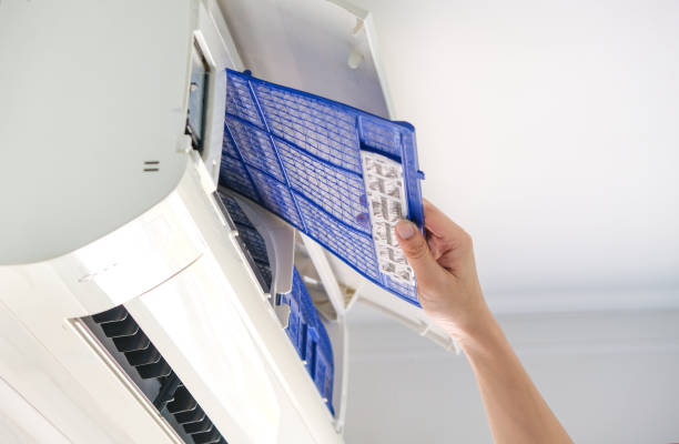 Best Air Vent Cleaning Services  in Haynesville, LA